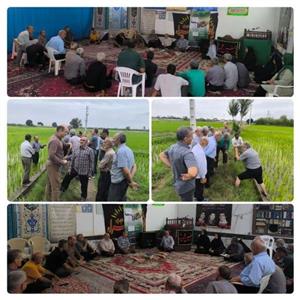 برگزاری كارگاه آموزشی ارتقا سلامت محصول برنج در روستای خردونكلا