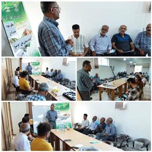 برگزاری كارگاه آموزشی بیماری های شایع در زراعت برنج در روستای خاریك